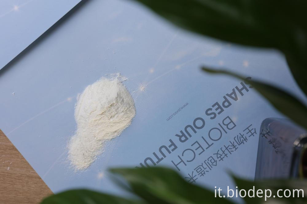 Akkermansia Muciniphila Akkermansia Muciniphila